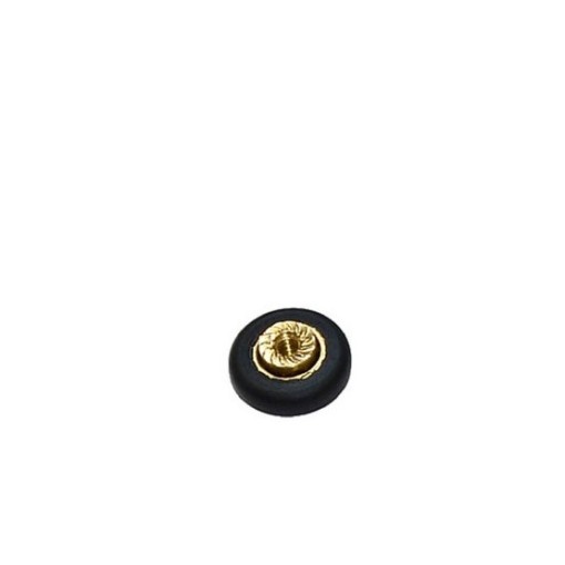 product/details